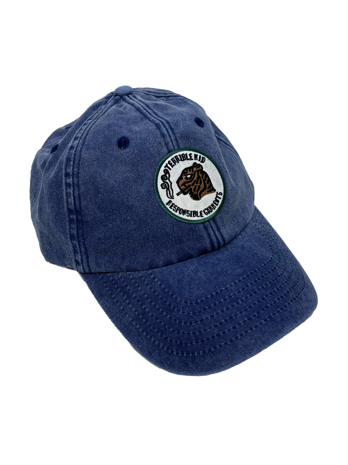 Terrible Kid Cap in Blue