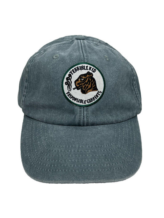 Terrible Kid Cap in Sage Green